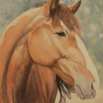 Horse+Portrait