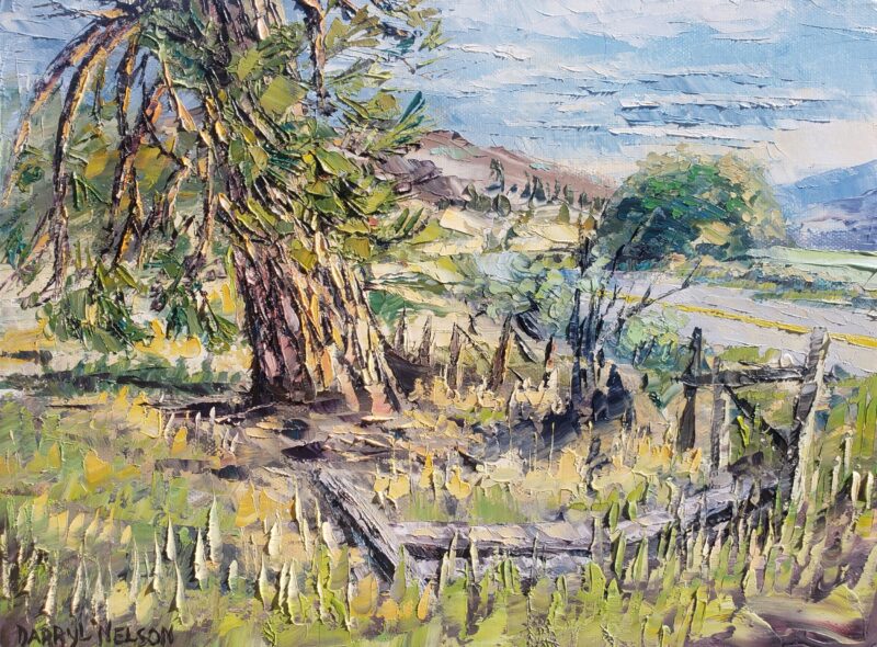 Summer Roadside, Old Pine